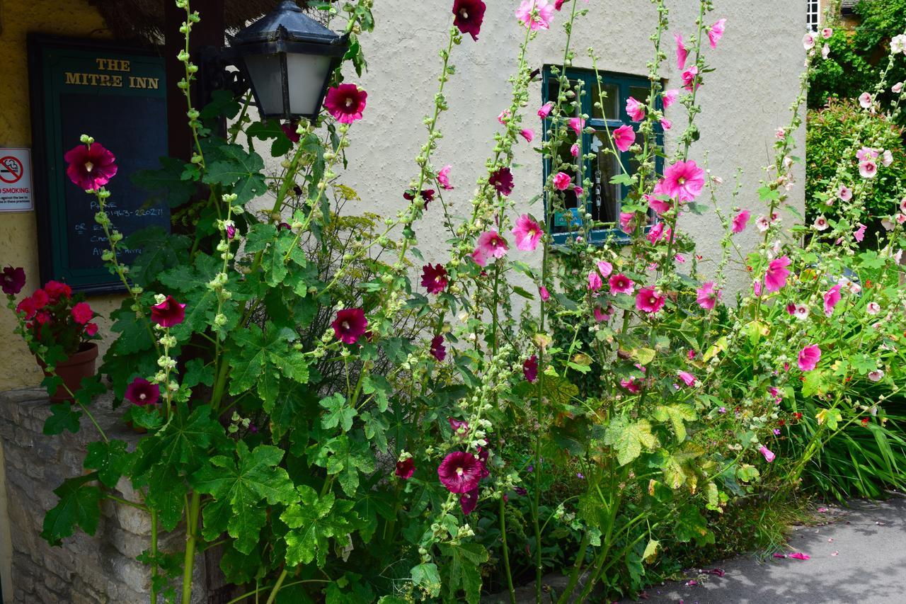 The Mitre Inn เชอร์บอร์น ภายนอก รูปภาพ