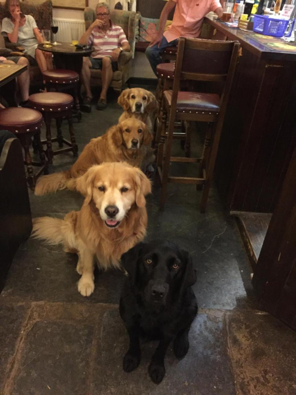 The Mitre Inn เชอร์บอร์น ภายนอก รูปภาพ